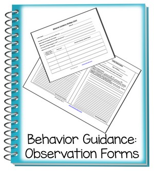 behavior-guidance-obs-form-LM